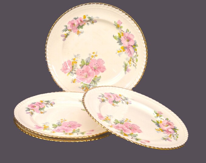 Vintage Sovereign Potters Norfolk salad plates. Set of 4.