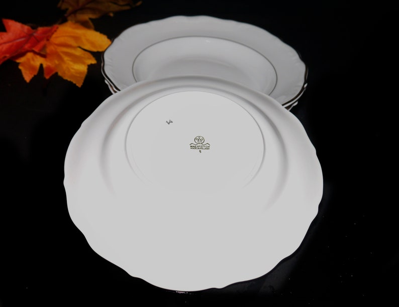 Vintage 1960s Walbrzych Glory rimmed soup bowl. Made in Etsy