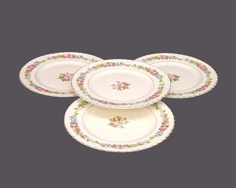 Vintage Myott Loretta dinner plates made in England.