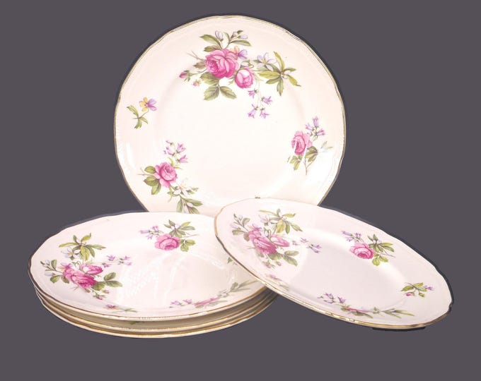 Five Ridgway Summer Glory dessert plates made in England.