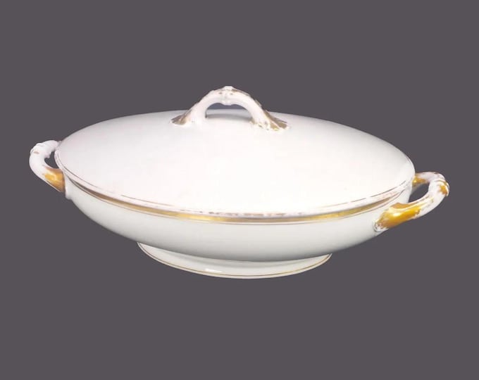 Antique MZ Austria | Altrohlau A-1936 covered, oval serving bowl. Gold band and pen line on white. Flaws (see below).