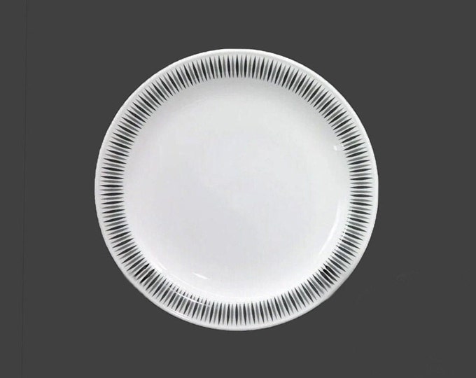 Rosenthal Medallion luncheon plate made in Germany. Sold individually.