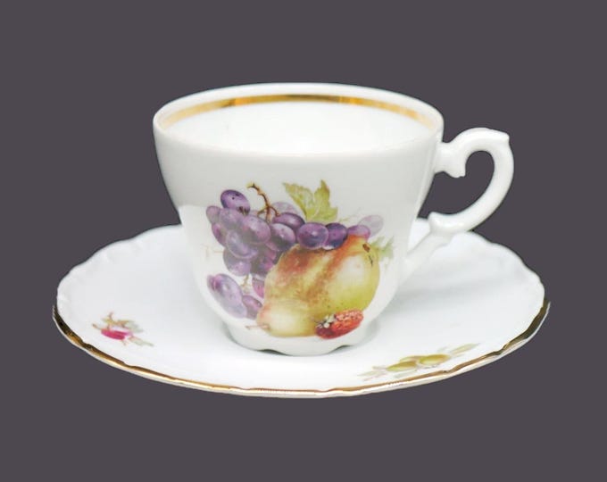 Schumann Arzberg SCH16 cup and saucer set made in Germany.