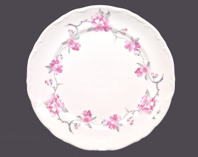 Winterling WIG16 luncheon or small dinner plate made in Bavaria. Sold individually.
