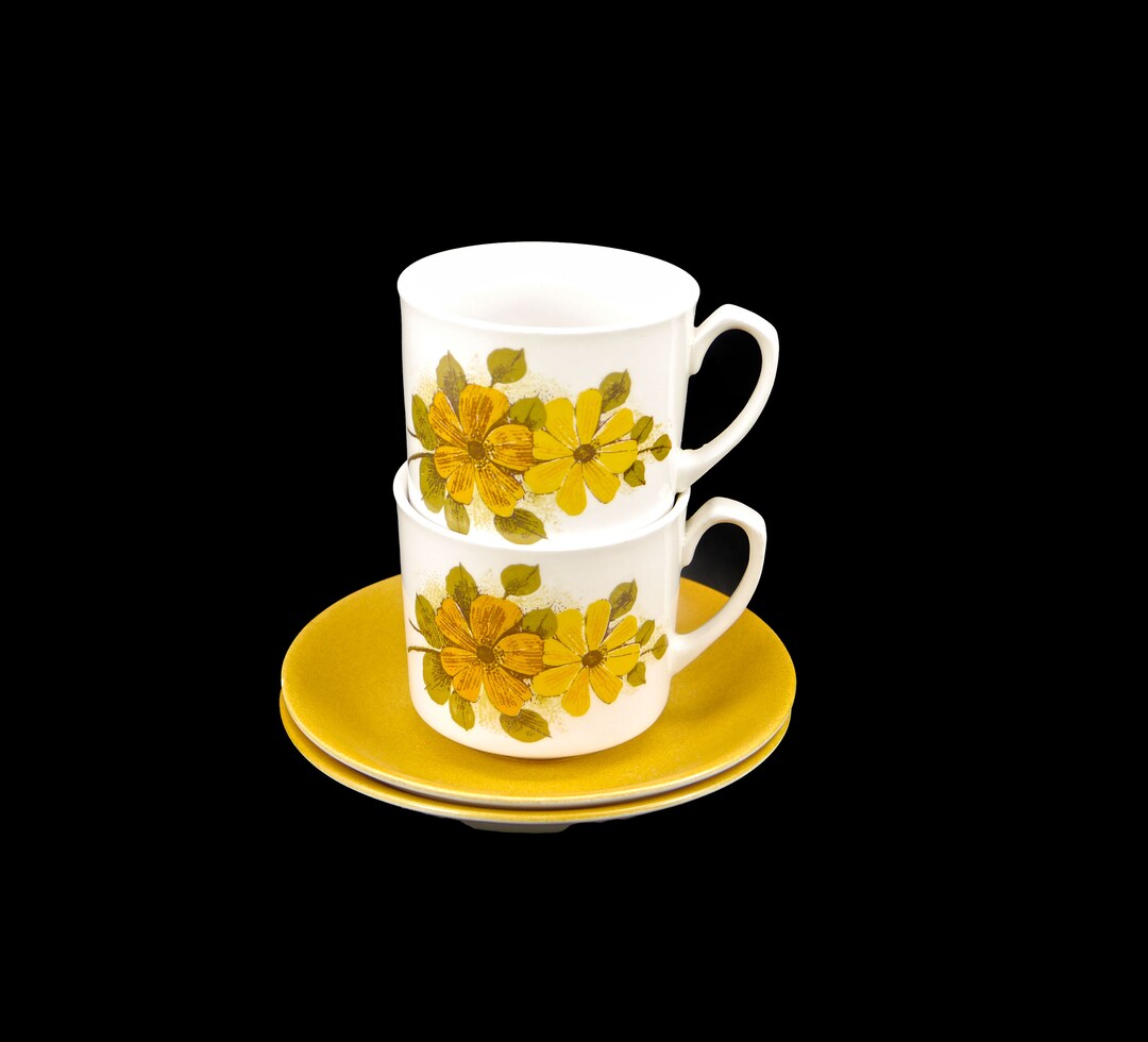 Pair of Myott MYO54 Cup and Saucer Sets. Retro Flowerpower Etsy Canada