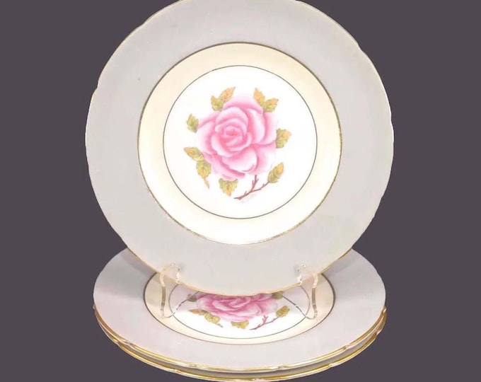 Three Coalport Romance S9598 salad plates. Bone china made in England.