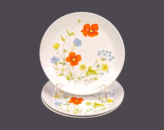 Three Johnson Brothers Summertime bread plates. Retro flower-power tableware made in England. Flaws (see below).