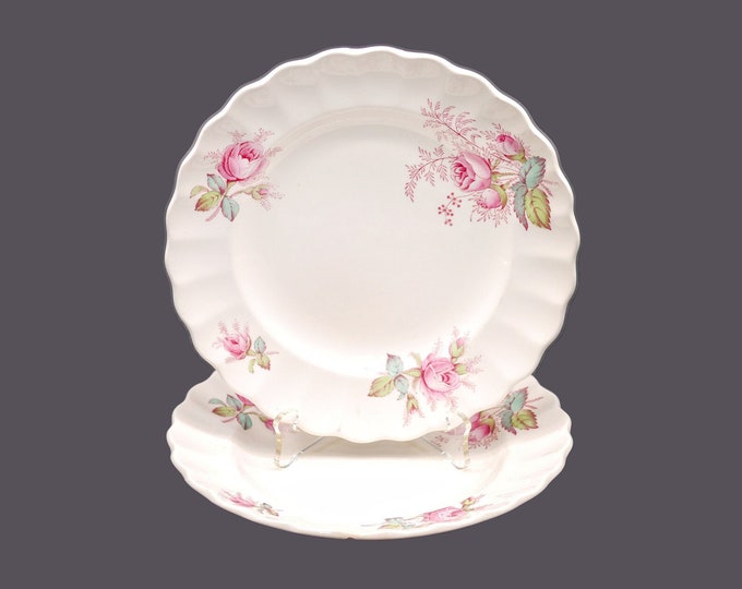 Pair of Spode Dubarry S2391 bread plates made in England.