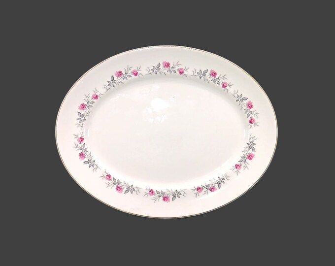 Myott MYO33 oval platter. China-Lyke ironstone made in England. Minor flaws (see below).