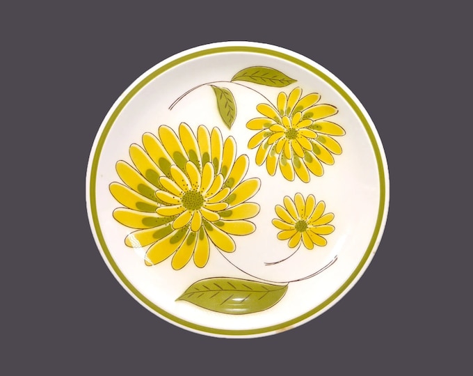 Mikasa Tampa retro flower-power large, stoneware dinner plate. Cera-Stone stoneware made in Japan. Flaw (see below).