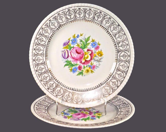 Pair of Fondeville Athlone salad plates. Ambassador Ware ironstone made in England.