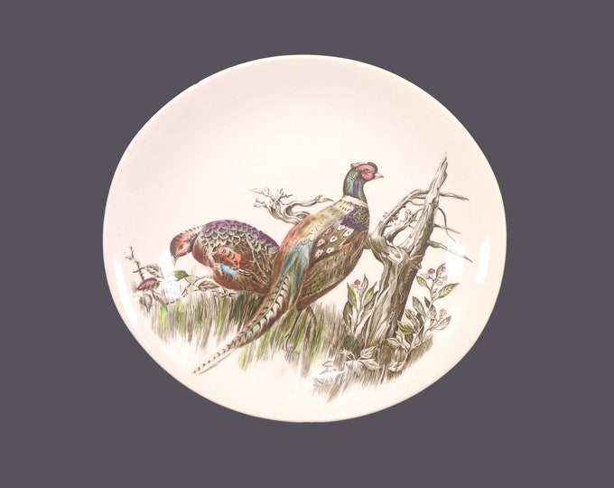 Johnson Brothers Game Birds Cream large, oval dinner plate. Pheasant. Made in England. Flaw (see below).
