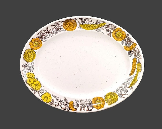 Sampson Bridgwood Harvest Time oval stoneware serving platter. Stonedale Tableware made in England.