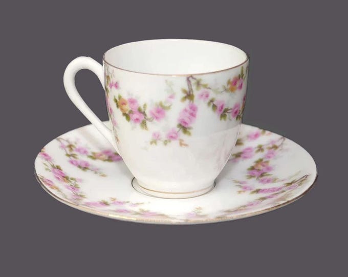 Antique art-nouveau period Georg Schmider Zell hand-painted Bridal Rose demitasse set | espresso set made in Germany.