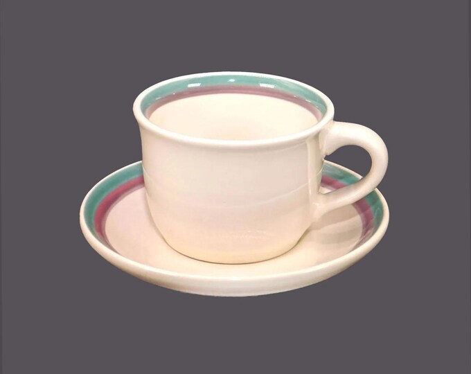 Pfaltzgraff Juniper stoneware cup and saucer set made in the USA.