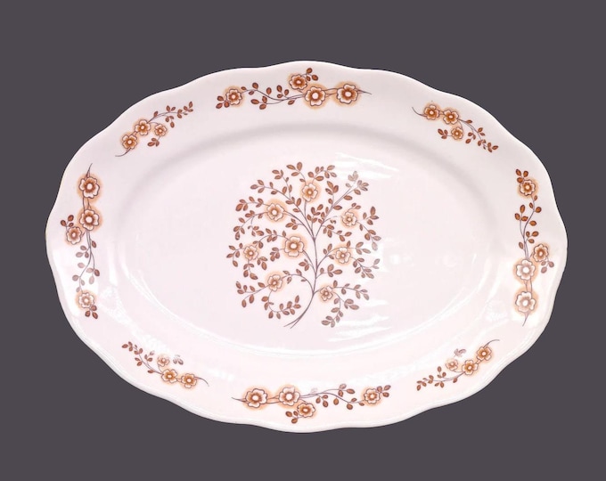 Vintage Jarolina | Konigszelt | Baum Brothers oval platter. Brown leaves, flowers. Poland.