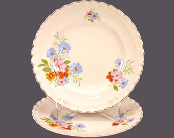 Antique J&G Meakin Peveril luncheon plates: Sol Sunshine England. 2 plates.