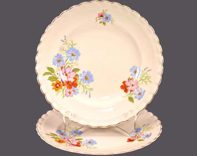 Antique J&G Meakin Peveril luncheon plates: Sol Sunshine England. 2 plates.