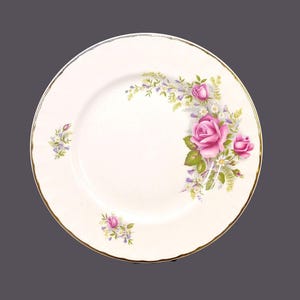 Vintage Ridgway Regal Rose-dessertbord. White Mist Ironstone gemaakt in Engeland.