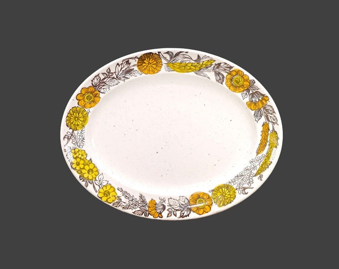 Sampson Bridgwood Harvest Time oval stoneware serving platter. Stonedale Tableware made in England.