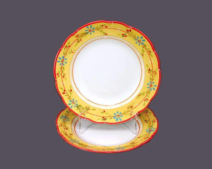 Pair of Culinary Arts Petit Jardin large dinner plates.