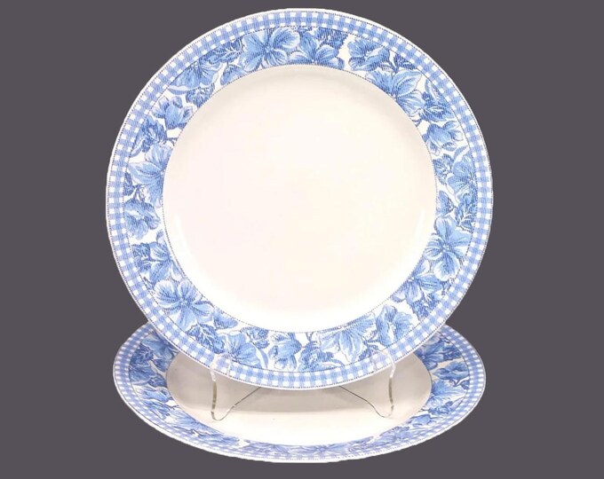 Pair of American Atelier Denim Floral 3394 large dinner plates.