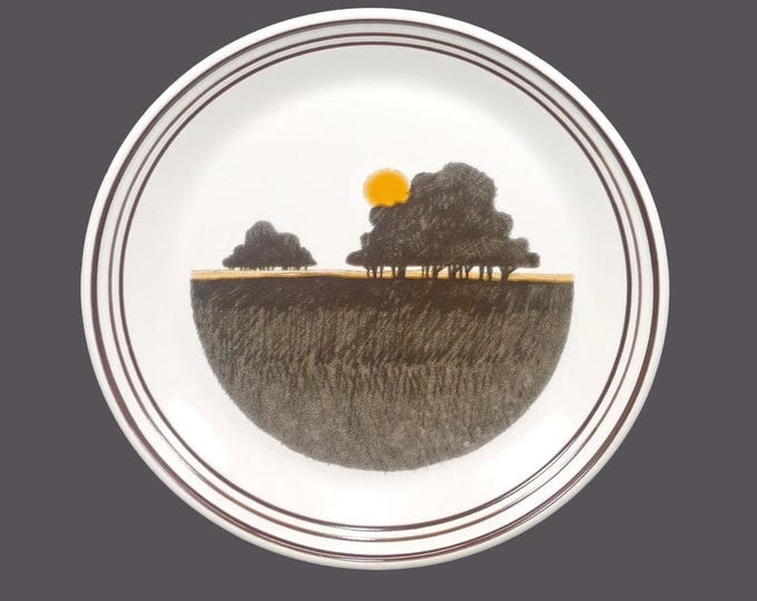 Royal Doulton Prairie stoneware salad or snack plate. Lambethware stoneware made in England. Sold individually.