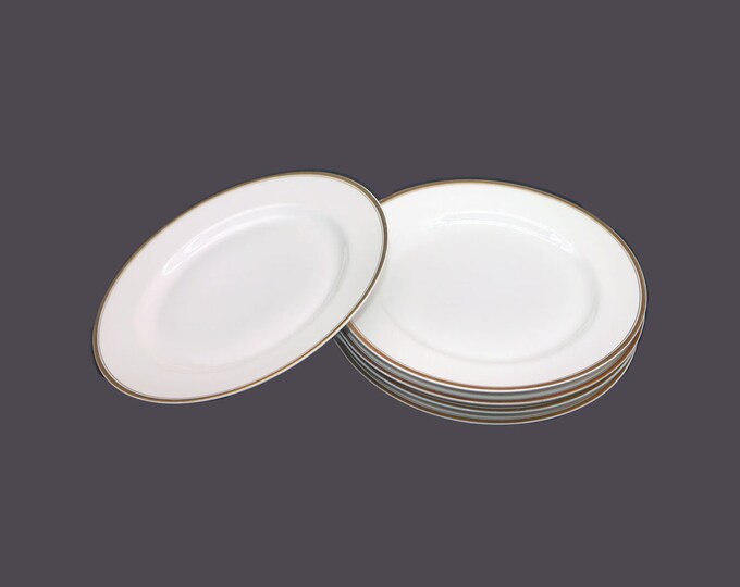 Vintage Bawo & Dotter Elite Works Limoges BWD120 dinner plates. France. 5 plates.