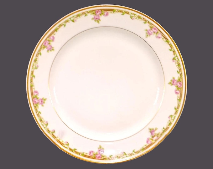 Antique Bawo & Dotter | Elite Works Limoges BWD114 art nouveau luncheon plate made in France. Sold individually.