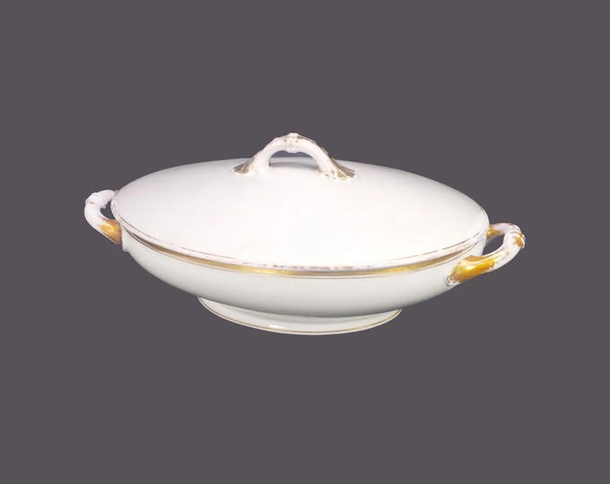 Antique MZ Austria | Altrohlau A-1936 covered, oval serving bowl. Gold band and pen line on white. Flaws (see below).