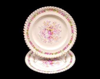 Pair of Johnson Brothers Queen's Bouquet bread plates. Old English Ironstone made in England. Flaws (see below).