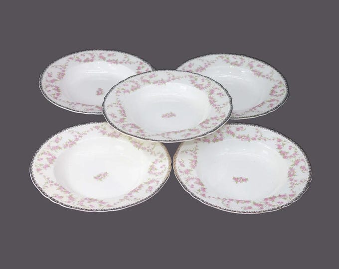 Vintage Alfred Meakin Harmony Rose rimmed soup bowls made England. Set of 5.