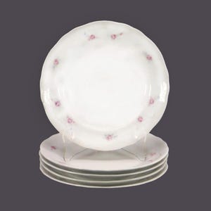 Five Richard Ginori 3501321 salad plates. Pink roses, gray scrolls, scalloped embossed edge. Made in Italy.