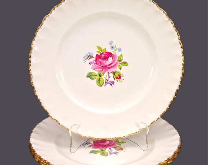 Vintage Grindley GRI316 dinner plates made in England. Set of 3.