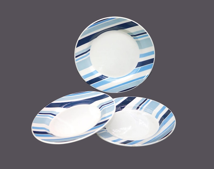 Pier 1 Marea dinner plates made in Italy. Blue stripes on white. Flaw (see below).