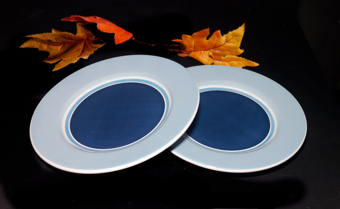 Pair of Pier 1 Marea Salad Plates Made in Italy. Blue and Etsy Canada