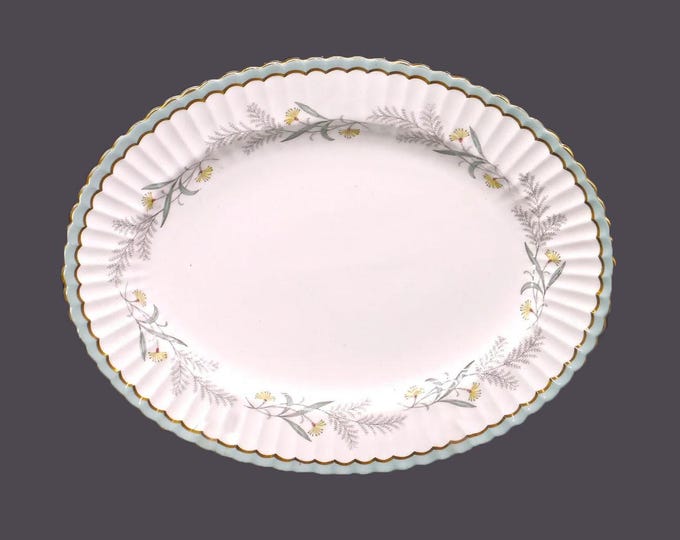 Paragon Sylvan Z1482 oval platter. Bone china made in England. Similar to Paragon Athens.