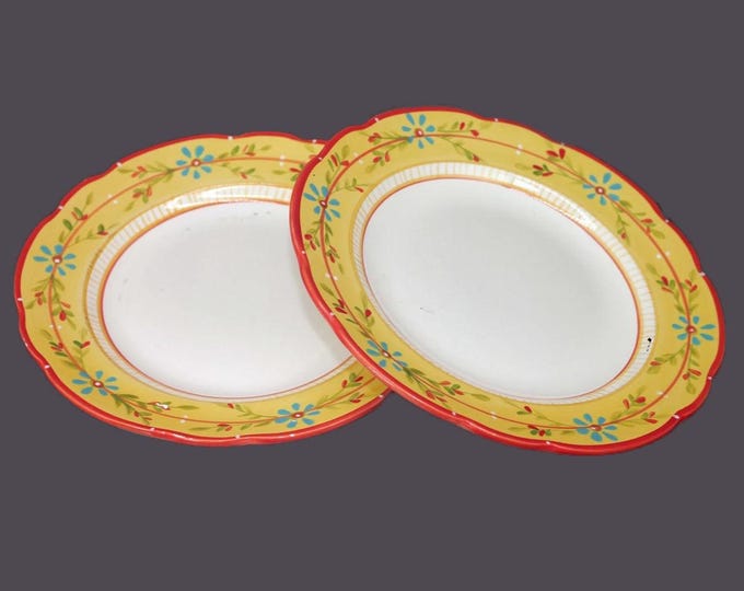 Pair of Culinary Arts Petit Jardin large dinner plates.