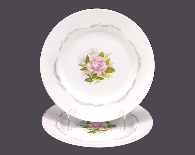 Pair of Grindley Baroness dinner plates. Satin White ironstone made in England. Flaw (see below).