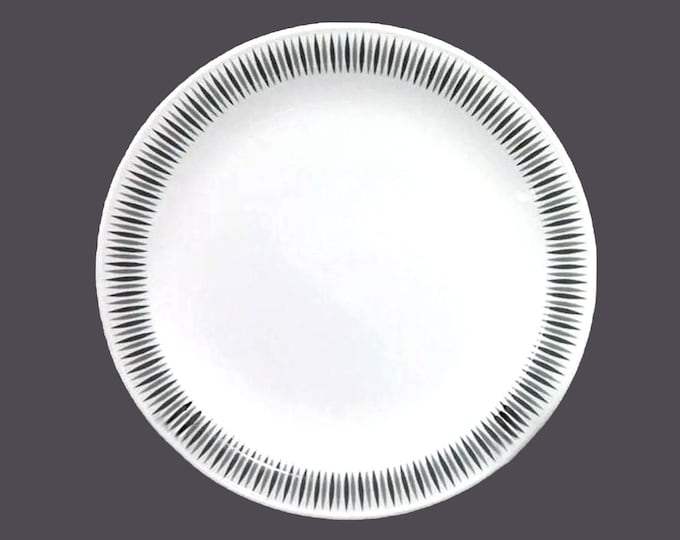 Rosenthal Medallion luncheon plate made in Germany. Sold individually.