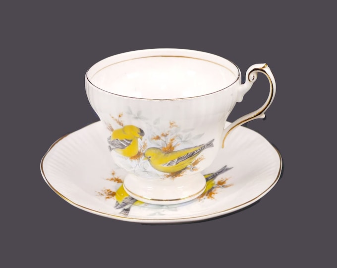 Rosina Queen's China Birds of America Series 1 bone china cup and saucer set made in England. American Goldfinch.