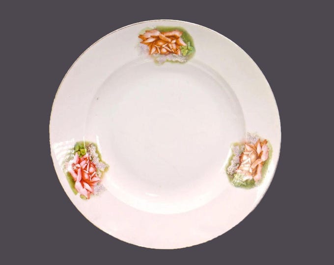 Hutschenreuther rimmed pasta serving bowl made in Germany. Large roses. Flawed (see below).