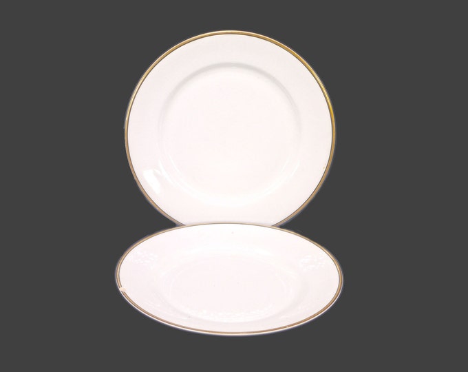 Pair of Johnson Brothers JB570 luncheon plates. Gold with black pen line. Pareek Ironstone made in England. Flaws (see below).