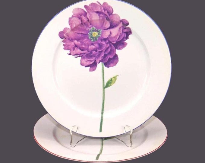 Pair of Muti Flower Power | Flower Show | Poppy porcelain luncheon plates. Central flowers in purple, red coordinating trim. Flaws.