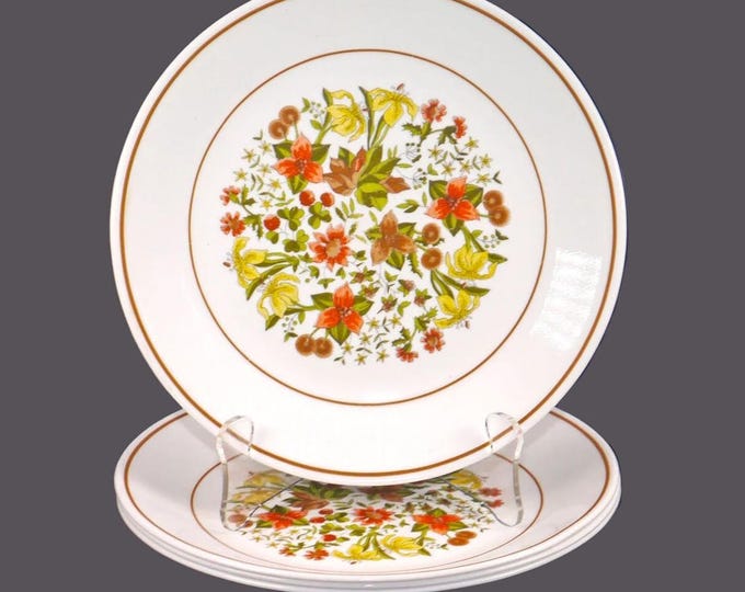 Four Corelle Corningware Indian Summer salad plates made in the USA.