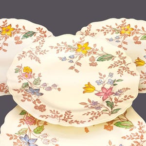 Antique J&G Meakin Cotswold Dinner Plates: Art Nouveau Floral Ironstone