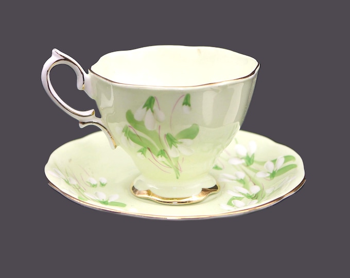 Royal Albert Laurentian Snowdrop 2234 hand-decorated cup and saucer set. Bone china made in England.