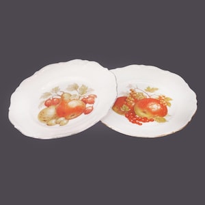 Vintage Winterling Roslau Dessert Plates: Bavarian Fruit Design, West Germany