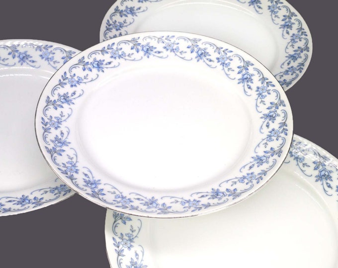 Johann Haviland Blue Danube salad plates made in Bavaria. Choose quantity below.