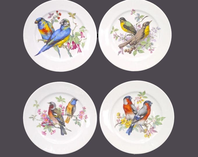 Vintage Schumann Arzberg Song Birds salad plates. Multi-motif birds. Germany. Set of 4.